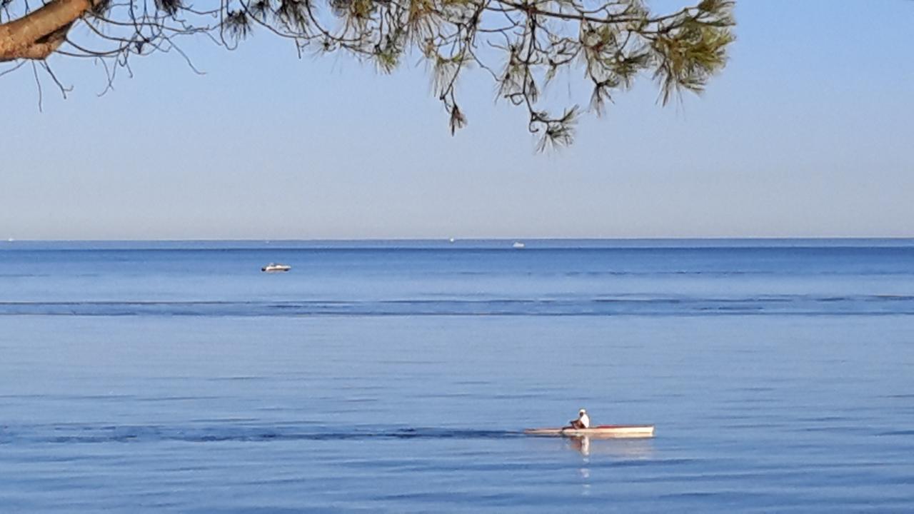 Appart Bleu Azur Διαμέρισμα Saint-Florent  Εξωτερικό φωτογραφία